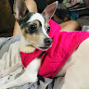 Meet your Posher, Karen